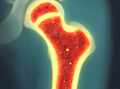 Thumbnail for version as of 20:41, 30 October 2014