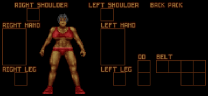 Armor GymsuitI Piratez.png