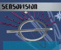 Thumbnail for version as of 22:39, 30 September 2023