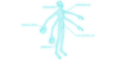 Thumbnail for version as of 11:47, 11 November 2014