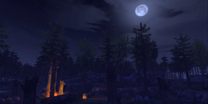 Large Scout Deep Woods